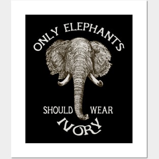 Elephants ivory Posters and Art